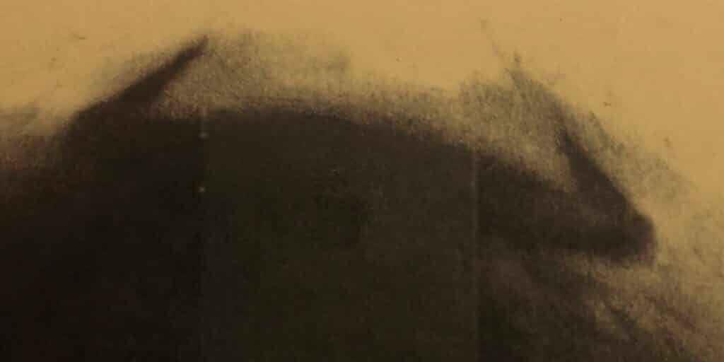 Jornadas del Toro de Lidia en Restaurante Becerrita, Sevilla